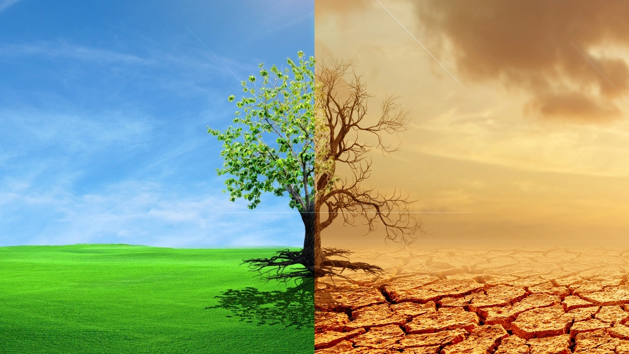 Stakeholders call for integration of climate change into national curricula