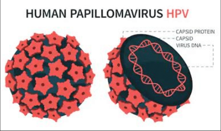 Beneficiaries of pilot HPV vaccination at Ayenya share impact 12 years on