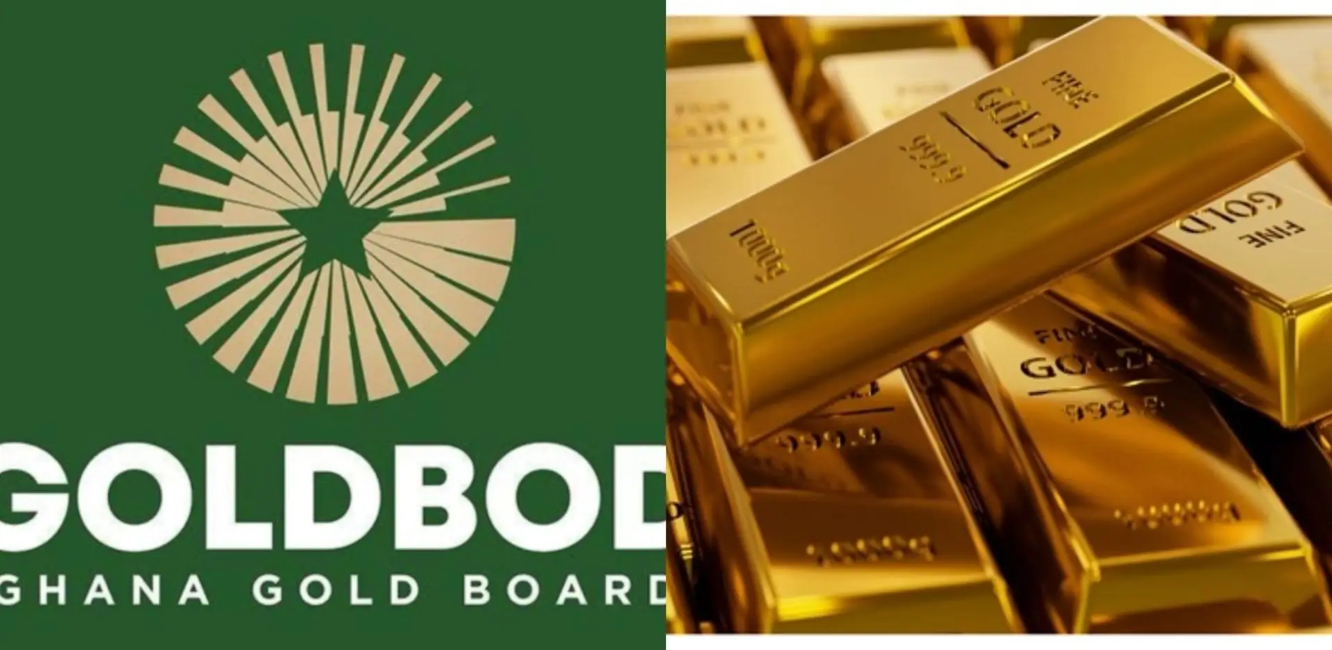 IFS criticises government’s establishment of GoldBod