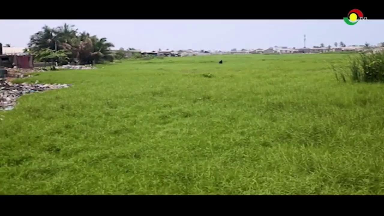 LIVE: Vanishing Wetlands: A Joseph Armstrong Gold Documentary || 30-07-2025