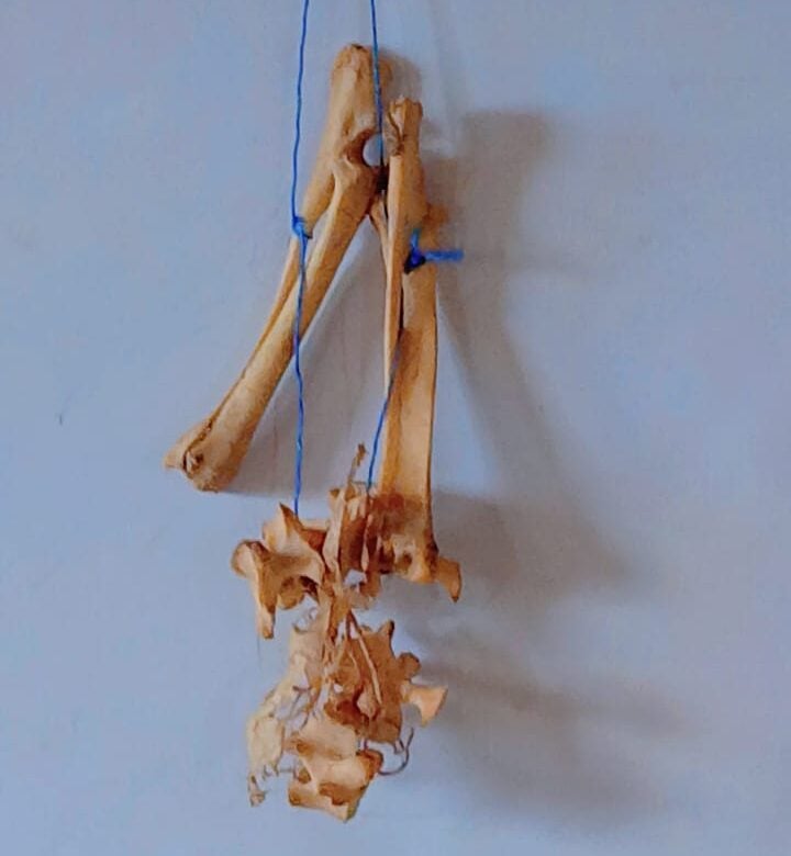 Shama: Strange bones in classroom disrupt academic activities at Dwomo Methodist School