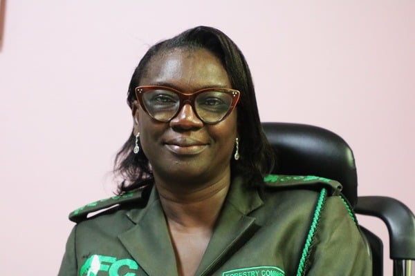 Forestry Commission warns public against recruitment scam