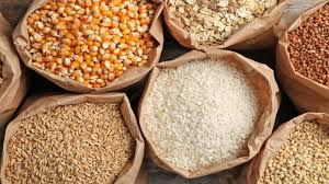 FAO: Global cereal production projected to reach a record-high