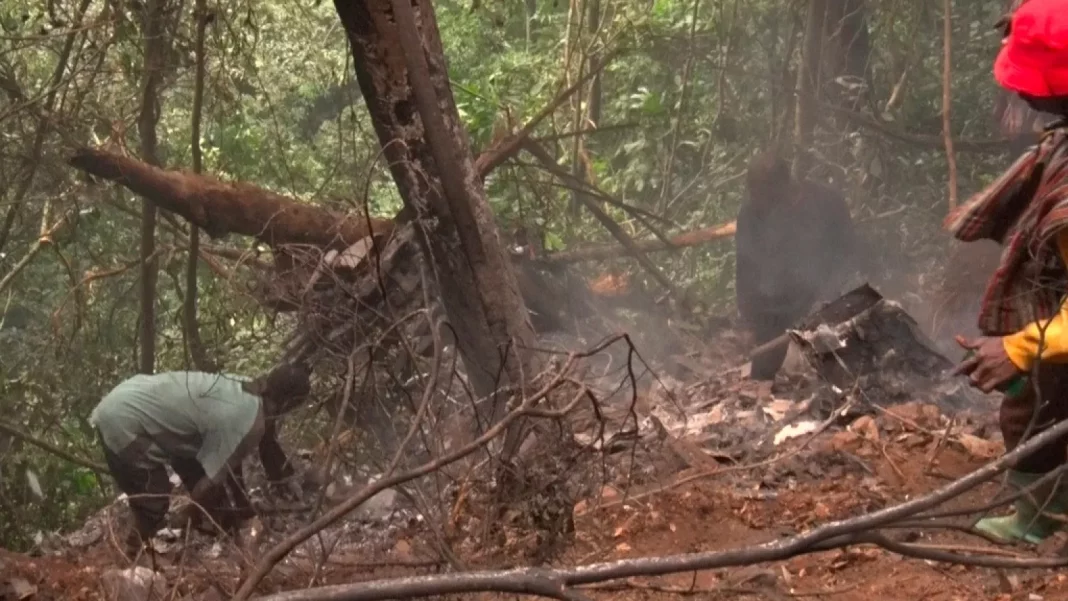 We must have a national policy on forensics – Forensic scientist criticises handling of helicopter crash site