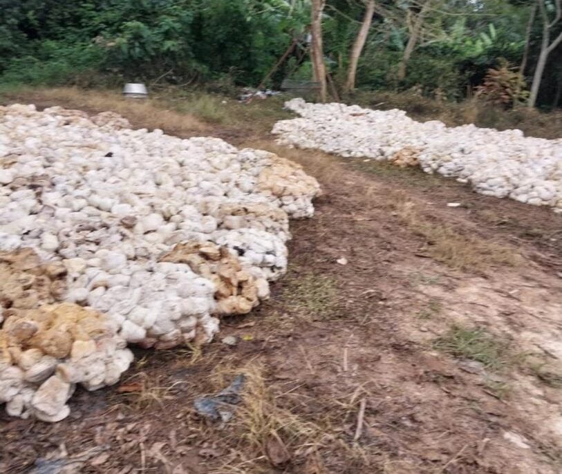 Rubber traders demand fair pricing from processors