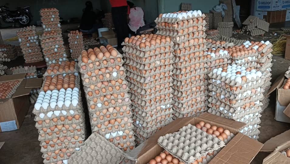 Poultry famers in Bono Region call for govt support to tackle falling price of egg due to over production