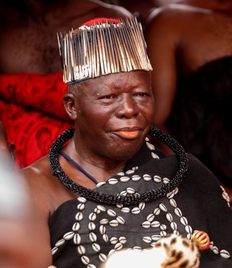 She was my confidant – Otumfuo eulogises late Asantehemaa