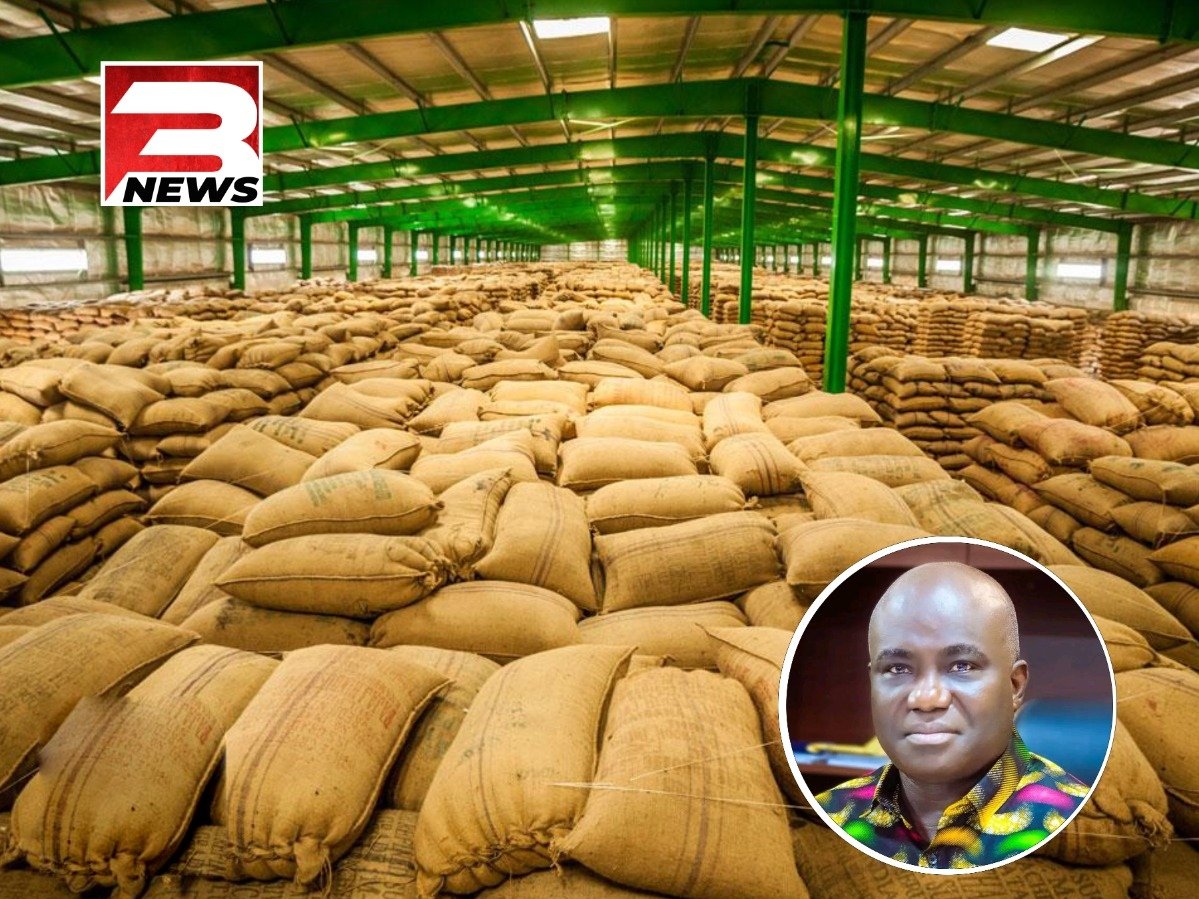 Gov’t releases GHS100m to Buffer Stock, promises more funds to buy excess farm produce