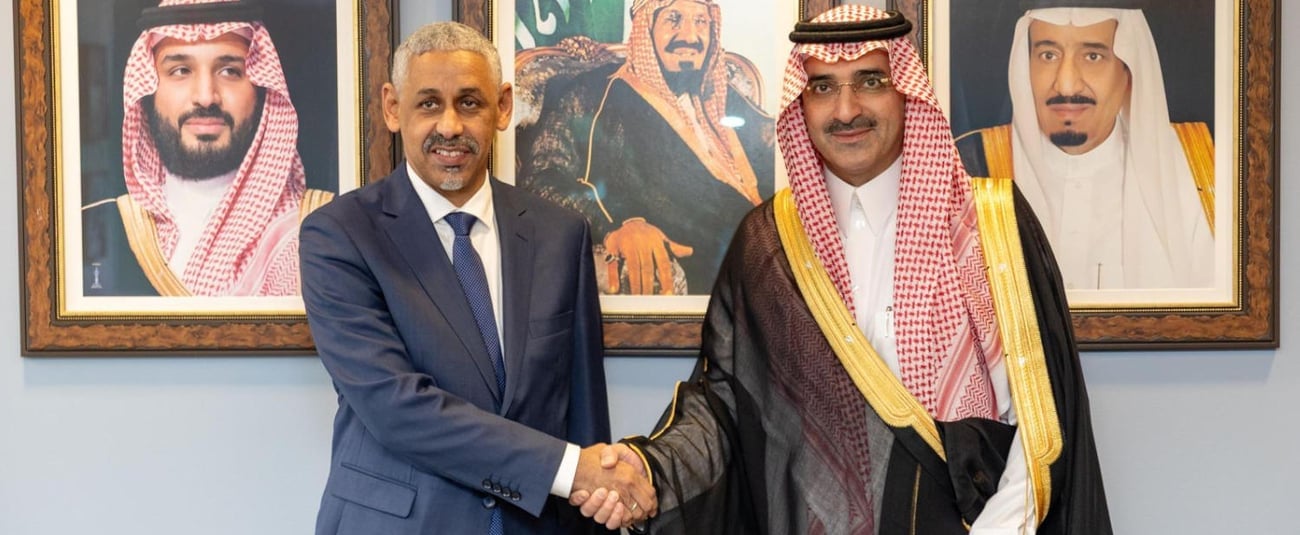 African Development Bank and Saudi Institutions deepen partnership to boost investments in Africa