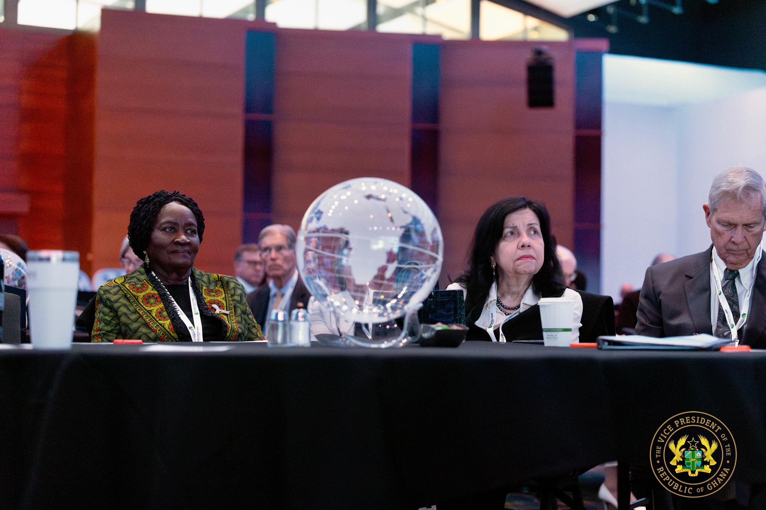 Photos: Veep Opoku-Agyemang, Agric Minister participate in 2025 Norman E. Borlaug International Dialogue