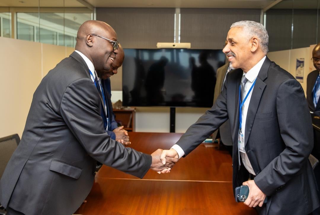 African Finance Ministers applaud Ghana’s GOLDBOD model at AfDB meeting in Washington